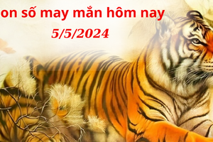 Con số may mắn hôm nay 5/5/2024: Số may cải thiện công danh