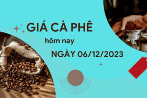 Giá cà phê hôm nay 6/12/2023: Trong nước vượt mức 60.000đồng/kg