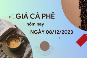 Giá cà phê hôm nay 8/12/2023: Thị trường trong nước tăng nhẹ 