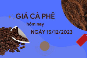 Giá cà phê hôm nay 15/12/2023: Trong nước bất ngờ chạm mốc 66.000 đồng/kg