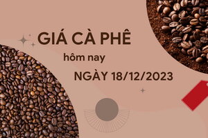 Giá cà phê hôm nay 18/12/2023: Thị trường trong nước tiếp tục tăng