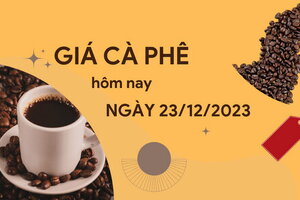 Giá cà phê hôm nay 23/12/2023: Một tuần lập đỉnh của thị trường trong nước