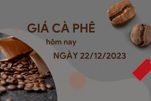 Giá cà phê hôm nay 22/12/2023: Robusta tăng mạnh