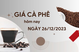 Giá cà phê hôm nay 26/12/2023: Thị trường thế giới giao dịch ổn định