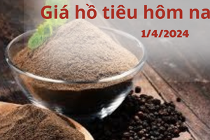 Giá hồ tiêu hôm nay 1/4/2024: Thế giới chững lại, trong nước giảm