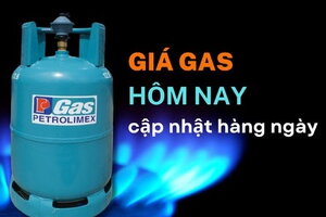 Giá gas hôm nay ngày 13/5/2024: Thế giới giảm 1,15%