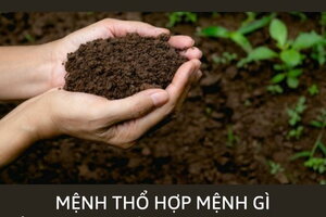 Mệnh thổ hợp mệnh gì, khắc mệnh gì? 3 cách hóa giải xung khắc cho người mệnh Thổ