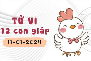 Tử vi 12 con giáp ngày 11/1/2024: Dần thuận lợi, Tỵ dư dả