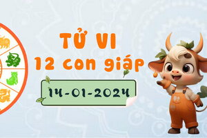 Tử vi 12 con giáp ngày 14/1/2023: Thân gặp rắc rối, Thìn được khen thưởng