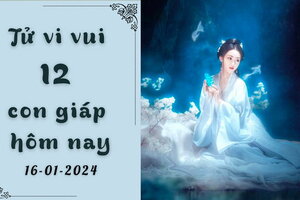 Tử vi vui 12 con giáp hôm nay ngày 16/1/2024: Mão tài lộc; Thân thăng tiến