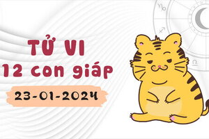 Tử vi 12 con giáp ngày 23/1/2024: Tị gặp mâu thuẫn, Hợi may mắn