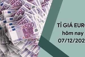 Tỷ giá Euro hôm nay 7/12/2023: Giảm nhẹ hai chiều mua vào - bán ra