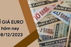 Tỷ giá Euro hôm nay 8/12/2023: Giảm nhiều ngày liên tiếp 