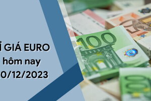 Tỷ giá Euro hôm nay 20/12/2023: Tiếp tục giảm hai chiều mua vào - bán ra