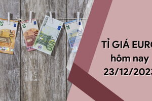 Tỷ giá Euro hôm nay 23/12/2023: Bất ngờ quay đầu tăng