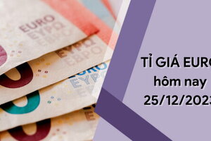 Tỷ giá Euro hôm nay 25/12/2023: Tăng nhẹ phiên đầu tuần