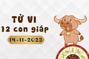 Tử vi 12 con giáp ngày 14/11/2023: Tý có quý nhân phù trợ, Mão đạt nhiều thành công