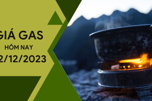 Giá gas hôm nay ngày 2/12/2023: Thế giới giảm, trong nước bình ổn