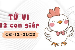 Tử vi 12 con giáp ngày 6/12/2023: Dần tình cảm nở rộ, Hợi ổn định