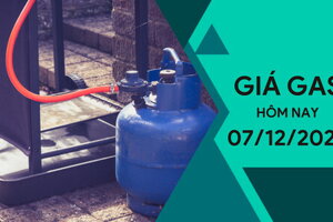 Giá gas hôm nay ngày 7/12/2023: Thị trường thế giới tăng nhẹ