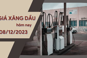 Giá xăng dầu hôm nay ngày 8/12/2023: Thế giới tăng nhẹ, trong nước giảm