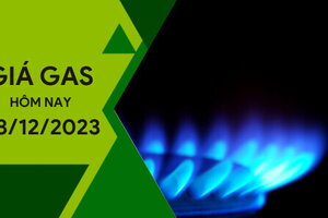 Giá gas hôm nay ngày 8/12/2023: Thế giới tăng, trong nước không biến động