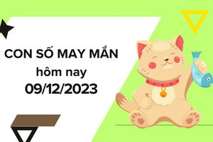 Con số may mắn hôm nay 9/12/2023: Số cát lợi cho cơ hội phát tài