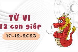 Tử vi 12 con giáp ngày 10/12/2023: Hợi gặp bất trắc, Mão dễ gặp sai sót bất ngờ