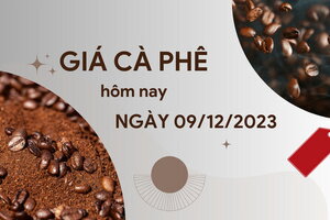 Giá cà phê hôm nay 9/12/2023: Thị trường trong nước tăng mạnh trở lại