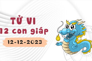 Tử vi 12 con giáp ngày 12/12/2023: Tỵ yên bình, Thân may mắn