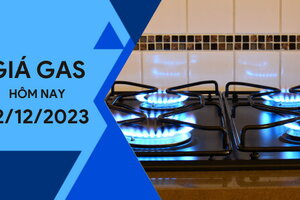 Giá gas hôm nay ngày 12/12/2023: Thị trường thế giới giảm nhẹ