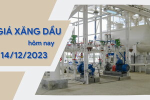 Giá xăng dầu hôm nay ngày 14/12/2023: Thế giới đồng loạt tăng, trong nước dự báo giảm