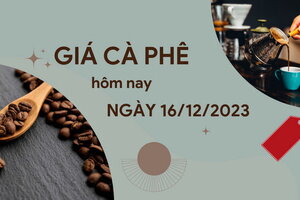 Giá cà phê hôm nay 16/12/2023: Thi trường trong nước tăng