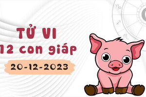 Tử vi 12 con giáp ngày 20/12/2023: Dần mâu thuẫn, Thân gặp trở ngại