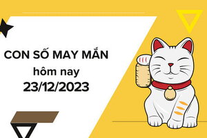 Con số may mắn hôm nay 23/12/2023: Số cát lợi mang đến tiền tài