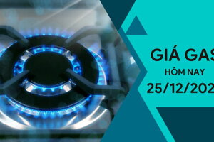 Giá gas hôm nay ngày 25/12/2023: Thế giới tăng, trong nước không biến động