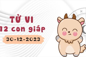 Tử vi 12 con giáp ngày 30/12/2023: Dần khó khăn, Thân phát triển tích cực