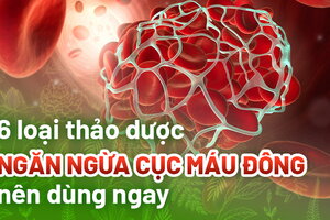 6 loại thảo dược ngăn ngừa cục máu đông nên dùng ngay