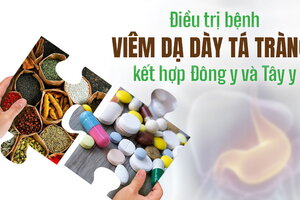 Điều trị bệnh viêm dạ dày tá tràng kết hợp Đông y và Tây y