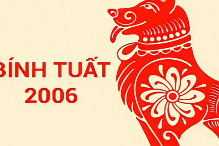 Sinh năm 2006 mệnh gì? Tuổi Bính Tuất hợp màu gì? Hợp tuổi nào?