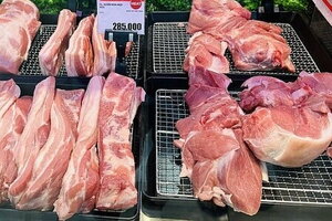 Giá heo hơi hôm nay ngày 12/10/2023: Có nơi xuống dưới mức 50.000đồng/kg