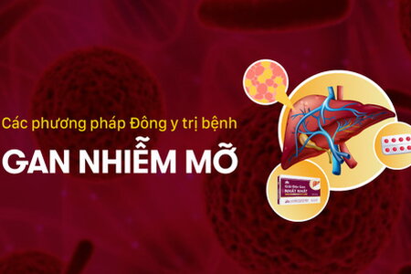 Các phương pháp Đông y trị bệnh gan nhiễm mỡ hiệu quả