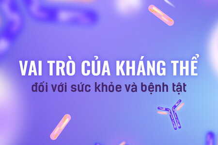 Kháng thể là gì? Vai trò của kháng thể đối với sức khỏe và bệnh tật