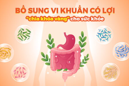 Bổ sung vi khuẩn có lợi – “chìa khóa vàng” cho sức khỏe