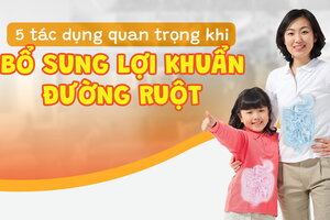 5 tác dụng quan trọng khi bổ sung lợi khuẩn đường ruột