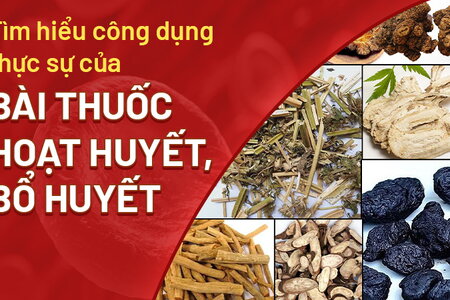 Tìm hiểu công dụng thực sự của bài thuốc hoạt huyết bổ huyết