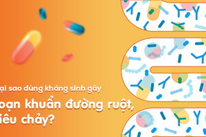 Tại sao dùng kháng sinh gây loạn khuẩn đường ruột, tiêu chảy?