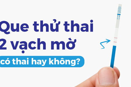 Giải đáp: Que thử thai 2 vạch mờ là có thai hay không ?