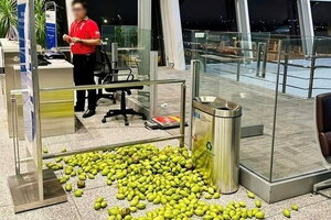 Xôn xao hình ảnh đống xoài, cóc nằm ngổn ngang trên sàn nhà ga sân bay Nội Bài