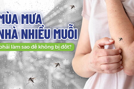 Mùa mưa nhà nhiều muỗi phải làm sao để không bị đốt?